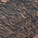 Tiger Skin Granite 